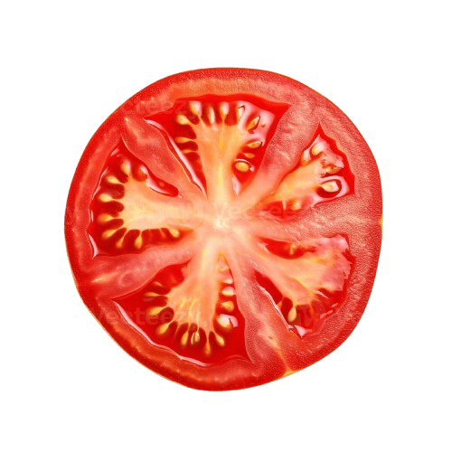 Tomato Slice